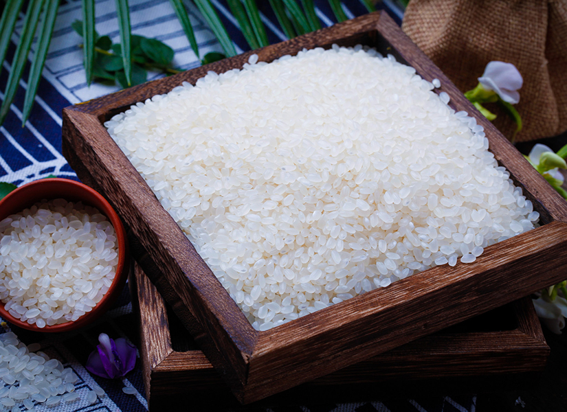 粳米和籼米之间的区别有哪些