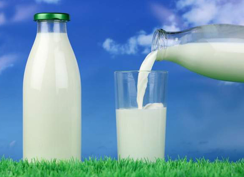 常温白奶提高蛋白质含量，会带来怎样的发展