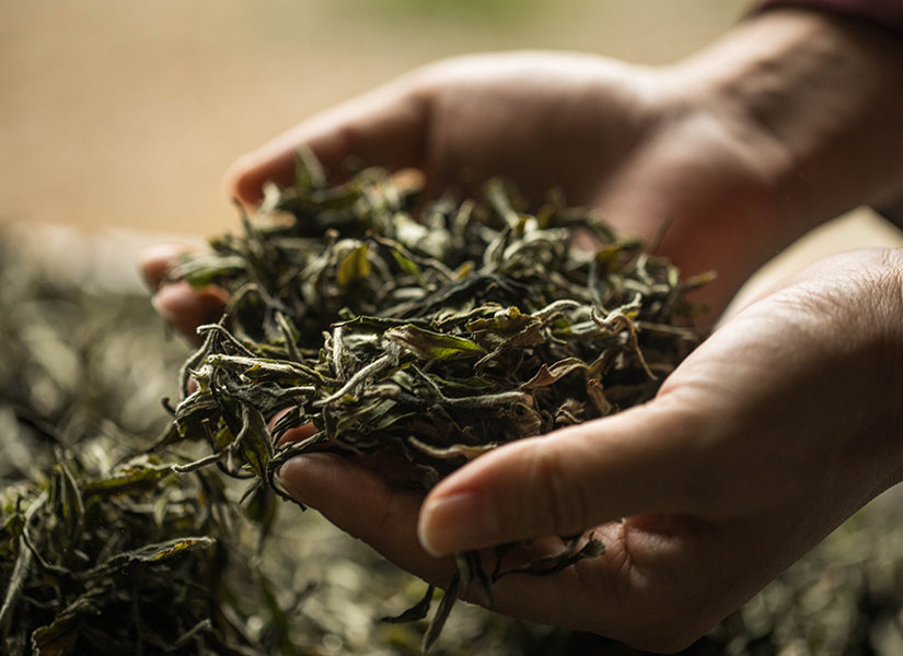 罐裝茶葉和袋裝茶葉哪個性價比高